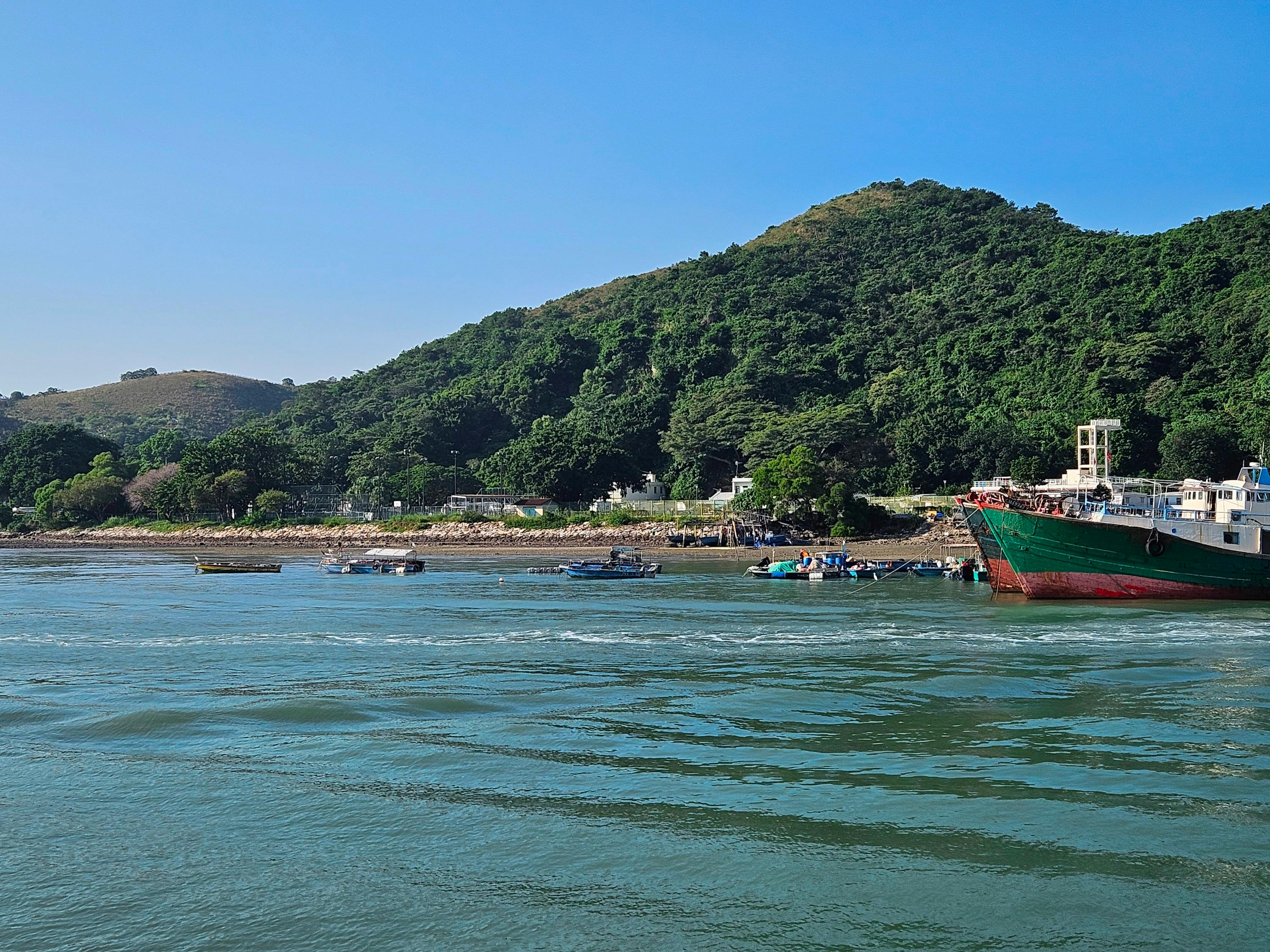 Tai O: 20-Minute Sightseeing Boat Trip - Photo 1 of 17